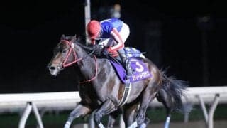 【門別・道営スプリント結果】スティールペガサスが2番手から抜け出して4連勝