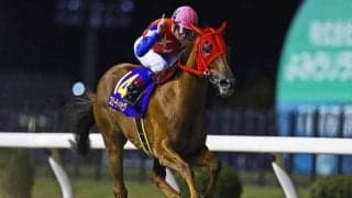 【川崎・ロジータ記念結果】スピーディキックが人気に応えて6馬身差圧勝