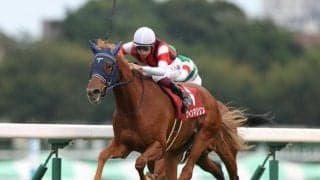 【エリザベス女王杯展望】秋の女王決定戦、あの馬の戴冠を期待したい