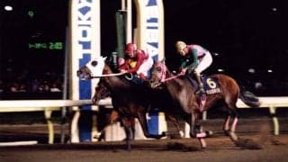 名馬 コンサートボーイ 30歳で死す