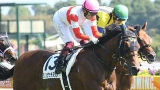 【デイリー杯2歳S出走馬・騎手確定】ダノンタッチダウン＆川田将雅騎手、シルヴァーデューク＆C.デムーロ騎手など10頭