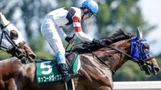 【京都ジャンプS出走馬・騎手確定】ホッコーメヴィウス＆黒岩悠騎手、ヴァーダイト＆小牧加矢太騎手など13頭