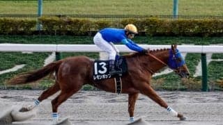 【武蔵野S出走馬・騎手確定】レモンポップ＆戸崎圭太騎手、タガノビューティー＆石橋脩騎手など16頭