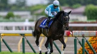 【エリザベス女王杯】出走馬の調教後の馬体重