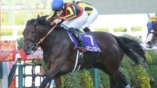 【エリザベス女王杯 調教後馬体重】マジカルラグーンは500kg、8頭が前走から2ケタ増