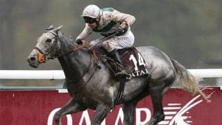 凱旋門賞馬アルピニスタ故障で引退 ジャパンC参戦濃厚から一転