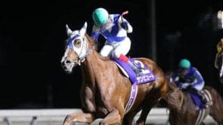 【門別・道営記念結果】サンビュートが3頭の競り合いを制して重賞初制覇