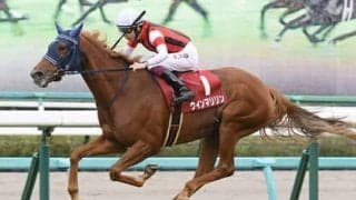 エリザベス女王杯は「３強」に不安あり。穴党記者はＧＩで善戦歴ある伏兵２頭を波乱の使者に抜擢