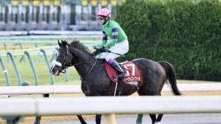【武豊日記】地方競馬の盛況ぶりは本当にありがたいことです