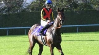 【エリザベス女王杯枠順確定】デアリングタクトは2枠4番、スタニングローズは5枠10番