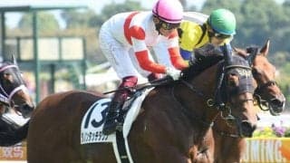 【デイリー杯2歳S枠順確定】ダノンタッチダウンは2枠2番、シルヴァーデュークは6枠6番