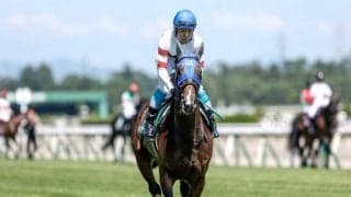 【京都ジャンプS枠順確定】ホッコーメヴィウスは6枠8番、ヴァーダイトは6枠9番