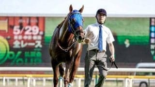 【武蔵野S枠順確定】レモンポップは4枠7番、タガノビューティーは5枠9番