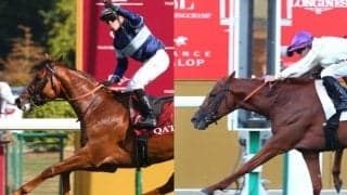 ジャパンカップの招待を受諾した海外馬6頭のプロフィールおよび来日スケジュール
