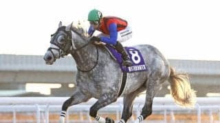 【名古屋・東海菊花賞結果】大井所属のコバルトウィングが人気に応えて5連勝