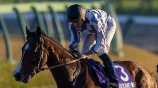 【ジャパンC】外国馬情報｜招待受諾馬と来日スケジュール