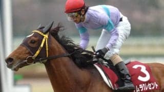 2011年阪神大賞典覇者 ナムラクレセントが17歳で死亡