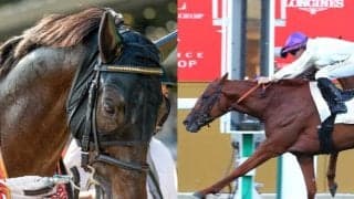 海外から強豪馬6頭が参戦予定 日本ダービー馬シャフリヤールなどジャパンカップ出走想定馬17頭