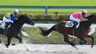 【新馬/東京5R】ハービンジャー産駒 オメガタキシードが初勝利