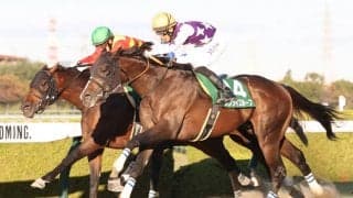 【みやこS】11番人気 サンライズホープが重賞2勝目