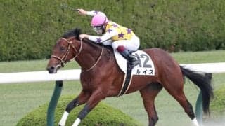 【新馬/阪神4R】ルイスが3馬身半差V！軽快なスピードで逃げ切る