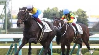 【新馬/阪神5R】ハーツクライ産駒 ノーブルクライがデビューV