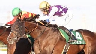 【みやこS】幸「手応えが戻ってきた」サンライズホープVで波乱