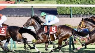 【エリザベス女王杯】デアリングタクトは2枠4番へ