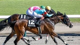 【武蔵野S予想】天下のノーザンファームに鬼門!? 同コース好走も条件悪化か？