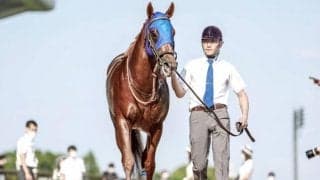【今日の注目ポイント】阪神でデイリー杯2歳S、東京では武蔵野S　ムーア騎手ら来日など