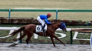 【武蔵野S予想】東京コース無敗の注目馬が出走 チャンピオンズCの前哨戦