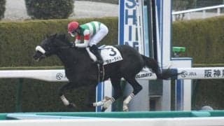 【京都ジャンプS予想】先行力が不可欠なコース 中山大障害に向けた重要な1戦