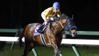 ダンシングプリンスは年内休養 宮田師「来年のサウジやドバイが候補」