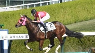 【阪神4R新馬戦結果】武豊騎手騎乗サンデーファンデーが逃げ切りV
