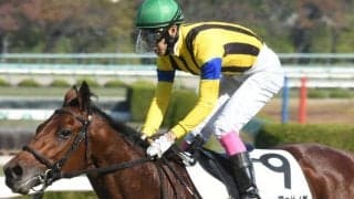 【阪神5R新馬戦結果】リアルスティール産駒エンファサイズが内を突いて抜け出す