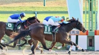 【武蔵野S】ギルデッドミラーが大激戦を制する！レモンポップは2着