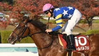 【デイリー杯2歳S結果】オールパルフェが逃げ切り連勝、リアルスティール産駒の重賞初制覇