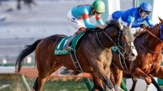 【武蔵野S結果】ギルデッドミラーがレモンポップを差し切り重賞初V、牝馬の勝利は初