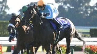 【エリザベス女王杯】競馬ファン8700人に聞いた！ 三冠牝馬デアリングタクトは復活する？