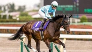 【エリザベス女王杯前日オッズ】デアリングタクトが4.8倍で1番人気も11頭が単勝20倍以下の大混戦