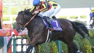 【エリザベス女王杯予想】秋華賞馬が次々と敗北。スタニングローズに激走の反動は？