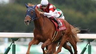 【AI予想・エリザベス女王杯】今年も大波乱を予言!? 非根幹距離で激走する人気薄に一発の期待