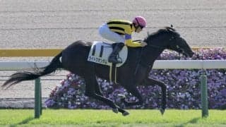 【新馬/東京5R】ディープ最終世代 ライトクオンタムがデビューV