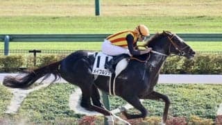 【東京7R】ムーア騎乗 メイプルリッジが7馬身差圧勝