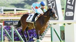 【東京6R】マーカンド騎乗 セラフィナイトが差し切る