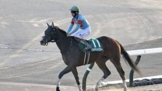 【武蔵野S】三浦「馬に感謝」ギルデッドミラーが重賞初制覇