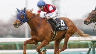 【エリザベス女王杯予想】今年も豪華メンバーが集結 古馬勢がやや優勢か