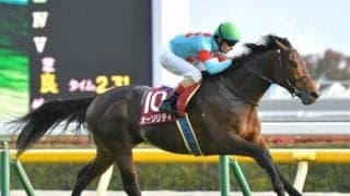 名牝シーザリオの血を引くオールマイデイズ。兄オーソリティ以上の活躍を見せるか