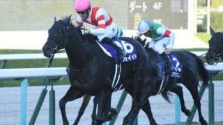 【エリザベス女王杯予想】狙うなら3番人気＆前走府中牝馬S組？ 再好走傾向強いコースで見逃せない穴馬は？