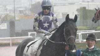 【阪神5R新馬戦結果】5番人気サンライズピースが内から差し切ってデビューV